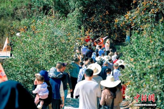 ¡°ÅÚµ¯ÊÁ¡±×ºÂú֦Ѿ£¬ÎüÒýÖÚ¶àÓÎÈ˹ÛÉÍ´ò¿¨¡£ÄþµÂÊйÅÌïÏØ³Ç¶«½ÖµÀ ¹©Í¼ ¡°ÅÚµ¯ÊÁ¡±×ºÂú֦Ѿ£¬ÎüÒýÖÚ¶àÓÎÈ˹ÛÉÍ´ò¿¨¡£ÄþµÂÊйÅÌïÏØ³Ç¶«½ÖµÀ ¹©Í¼