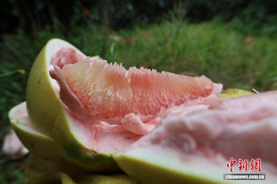 ¾§Ó¨ÌÞ͸µÄ¹ûÈâÈÇÈË´¹ÏÑ¡£³¤Ì©ÇøÈÚýÌåÖÐÐĹ©Í¼ ¾§Ó¨ÌÞ͸µÄ¹ûÈâÈÇÈË´¹ÏÑ¡£³¤Ì©ÇøÈÚýÌåÖÐÐĹ©Í¼