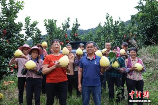 ÃÛèÖÓ·áÊÕ£¬èÖũЦ¿ª»³¡£³¤Ì©ÇøÈÚýÌåÖÐÐĹ©Í¼ ÃÛèÖÓ·áÊÕ£¬èÖũЦ¿ª»³¡£³¤Ì©ÇøÈÚýÌåÖÐÐĹ©Í¼