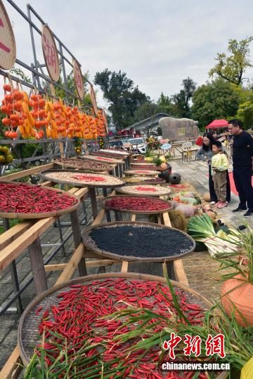 图为晒秋。中新网记者 张丽君 摄 图为晒秋。中新网记者 张丽君 摄