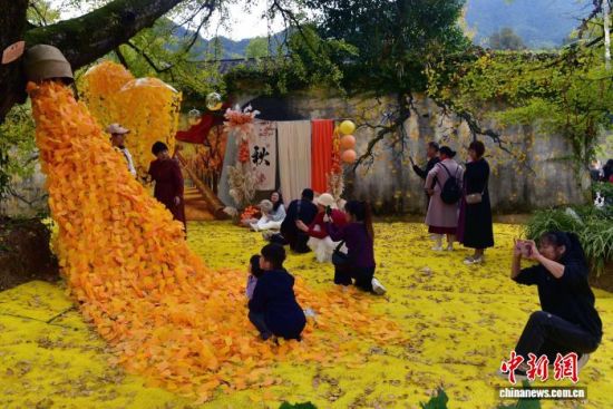 图为晒秋现场吸引大量民众。中新网记者 张丽君 摄 图为晒秋现场吸引大量民众。中新网记者 张丽君 摄