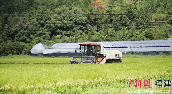 Å©»úÊո×Ó Å©»úÊո×Ó