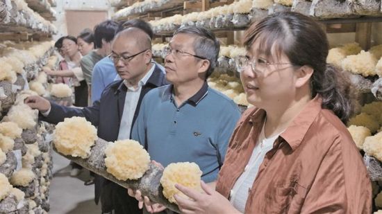 ר¼Ò¡¢ÖÖÖ²»§ºÍÆóÒµ´ú±í¹ÛĦ̫¿ÕÓÕ±äÒø¶úÐÂÆ·ÖÖHT108 ר¼Ò¡¢ÖÖÖ²»§ºÍÆóÒµ´ú±í¹ÛĦ̫¿ÕÓÕ±äÒø¶úÐÂÆ·ÖÖHT108