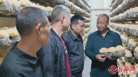 ¹ÛĦ̫¿ÕÓÕ±äÒø¶úÐÂÆ·ÖÖHT108¡£¹ÅÌïÏØÈÚýÌåÖÐÐÄ ¹©Í¼ ¹ÛĦ̫¿ÕÓÕ±äÒø¶úÐÂÆ·ÖÖHT108¡£¹ÅÌïÏØÈÚýÌåÖÐÐÄ ¹©Í¼