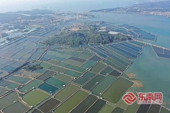 腊洲村拥有广袤的海域资源 腊洲村拥有广袤的海域资源