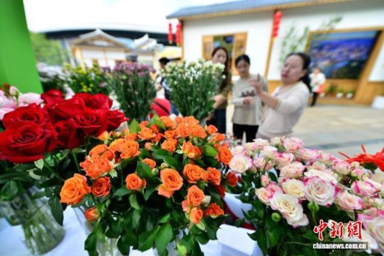 图为展销的花卉吸引参观者。中新社记者 张斌 摄 图为展销的花卉吸引参观者。中新社记者 张斌 摄