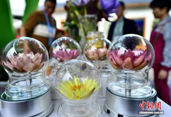 图为展会上参展企业展示的永不凋零的永生花。中新社记者 张斌 摄 图为展会上参展企业展示的永不凋零的永生花。中新社记者 张斌 摄
