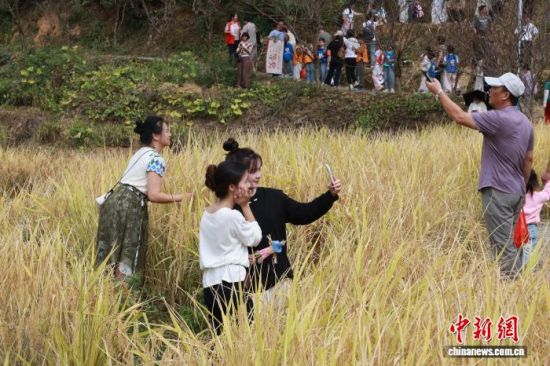 ÓοÍÔÚ½ðÉ«µÄµ¾ÀËÖмǼÏÂÃÀºÃµÄ˲¼ä¡£»ª°²ÏØÈÚýÌåÖÐÐĹ©Í¼ ÓοÍÔÚ½ðÉ«µÄµ¾ÀËÖмǼÏÂÃÀºÃµÄ˲¼ä¡£»ª°²ÏØÈÚýÌåÖÐÐĹ©Í¼