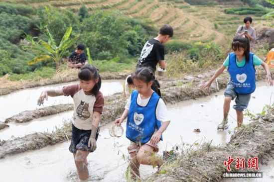 º¢×ÓÃÇÕýÔÚÌåÑé½ôÕŴ̼¤µÄµ¾Ìï×¥Ó㣬ÏÖ³¡»¶ÉùЦÓï²»¶Ï£¬³äÂúÁËŨÓôµÄÏçÍÁÆøÏ¢¡£»ª°²ÏØÈÚýÌåÖÐÐĹ©Í¼ º¢×ÓÃÇÕýÔÚÌåÑé½ôÕŴ̼¤µÄµ¾Ìï×¥Ó㣬ÏÖ³¡»¶ÉùЦÓï²»¶Ï£¬³äÂúÁËŨÓôµÄÏçÍÁÆøÏ¢¡£»ª°²ÏØÈÚýÌåÖÐÐĹ©Í¼