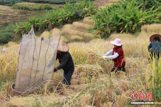 ¼¤Áҵĸ¹È±ÈÈüÏÖ³¡£¬²ÎÈüÕßÃÇÕýÔÚ±ÈÆ´ÉíÊÖÓëËÙ¶È£¬Ç×ÉíÌåÑ鴫ͳũ¸ûµÄÐÁÀÍÓëÀÖȤ¡£»ª°²ÏØÈÚýÌåÖÐÐĹ©Í¼ ¼¤Áҵĸ¹È±ÈÈüÏÖ³¡£¬²ÎÈüÕßÃÇÕýÔÚ±ÈÆ´ÉíÊÖÓëËÙ¶È£¬Ç×ÉíÌåÑ鴫ͳũ¸ûµÄÐÁÀÍÓëÀÖȤ¡£»ª°²ÏØÈÚýÌåÖÐÐĹ©Í¼