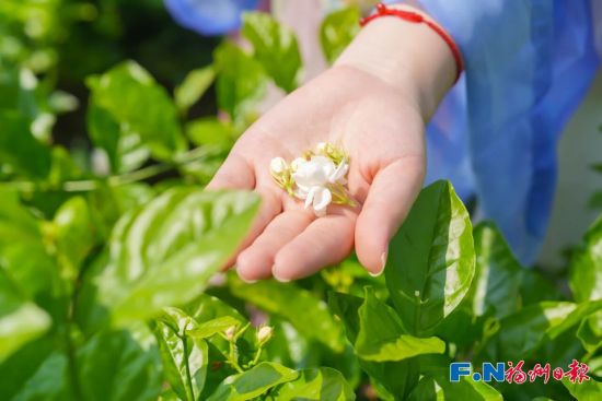 原浩 摄 原浩 摄