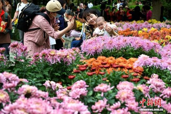 11ÔÂ7ÈÕ£¬ÊÐÃñ¡¢ÓοÍÔÚ¸£ÖÝÎ÷ºþ¹«Ô°²Î¹Û¾Õ»¨Õ¹¡£ÖÐÐÂÉç¼ÇÕß ÂÀÃ÷ Éã 11ÔÂ7ÈÕ£¬ÊÐÃñ¡¢ÓοÍÔÚ¸£ÖÝÎ÷ºþ¹«Ô°²Î¹Û¾Õ»¨Õ¹¡£ÖÐÐÂÉç¼ÇÕß ÂÀÃ÷ Éã