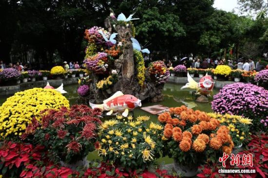 11ÔÂ7ÈÕ£¬ÊÐÃñ¡¢ÓοÍÔÚ¸£ÖÝÎ÷ºþ¹«Ô°²Î¹Û¾Õ»¨Õ¹¡£ÖÐÐÂÉç¼ÇÕß ÂÀÃ÷ Éã 11ÔÂ7ÈÕ£¬ÊÐÃñ¡¢ÓοÍÔÚ¸£ÖÝÎ÷ºþ¹«Ô°²Î¹Û¾Õ»¨Õ¹¡£ÖÐÐÂÉç¼ÇÕß ÂÀÃ÷ Éã