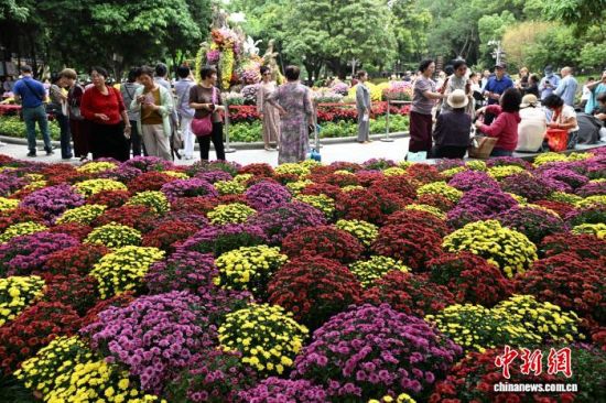 11ÔÂ7ÈÕ£¬ÊÐÃñ¡¢ÓοÍÔÚ¸£ÖÝÎ÷ºþ¹«Ô°²Î¹Û¾Õ»¨Õ¹¡£ÖÐÐÂÉç¼ÇÕß ÂÀÃ÷ Éã 11ÔÂ7ÈÕ£¬ÊÐÃñ¡¢ÓοÍÔÚ¸£ÖÝÎ÷ºþ¹«Ô°²Î¹Û¾Õ»¨Õ¹¡£ÖÐÐÂÉç¼ÇÕß ÂÀÃ÷ Éã