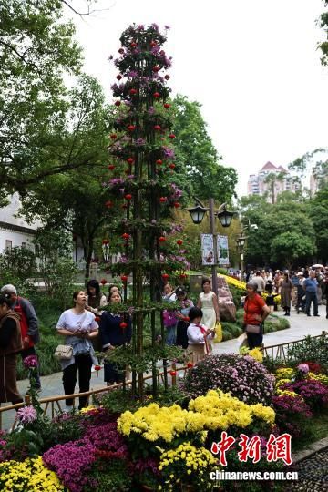 11ÔÂ7ÈÕ£¬ÊÐÃñ¡¢ÓοÍÔÚ¸£ÖÝÎ÷ºþ¹«Ô°²Î¹Û¾Õ»¨Õ¹¡£ÖÐÐÂÉç¼ÇÕß ÂÀÃ÷ Éã 11ÔÂ7ÈÕ£¬ÊÐÃñ¡¢ÓοÍÔÚ¸£ÖÝÎ÷ºþ¹«Ô°²Î¹Û¾Õ»¨Õ¹¡£ÖÐÐÂÉç¼ÇÕß ÂÀÃ÷ Éã