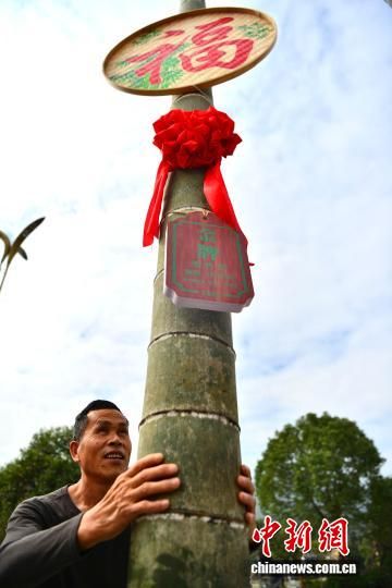 11ÔÂ7ÈÕ£¬Î§¾¶57.70ÀåÃס¢Ðؾ¶18.37ÀåÃ×£¬»ñµÃÓÀ°²ÊÐ2025ÄêëÖñÍõ½ð½±µÄëÖñÎüÒý²Î¹ÛÕß¡£ÖÐÐÂÉç¼ÇÕß Õűó Éã 11ÔÂ7ÈÕ£¬Î§¾¶57.70ÀåÃס¢Ðؾ¶18.37ÀåÃ×£¬»ñµÃÓÀ°²ÊÐ2025ÄêëÖñÍõ½ð½±µÄëÖñÎüÒý²Î¹ÛÕß¡£ÖÐÐÂÉç¼ÇÕß Õűó Éã