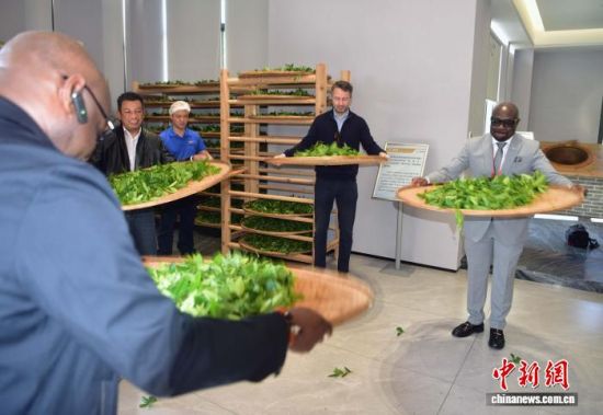 1117գפʹڸɽҡƲ輼ա  