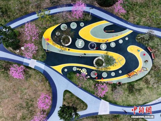 11月19日,在福建福州福新东路的口袋公园内,紫花风铃木进入盛花期,紫色的花朵将冬日的公园装扮的如梦如幻,成为城市一景。(无人机照片)中新社记者 张斌 摄 11月19日,在福建福州福新东路的口袋公园内,紫花风铃木进入盛花期,紫色的花朵将冬日的公园装扮的如梦如幻,成为城市一景。(无人机照片)中新社记者 张斌 摄