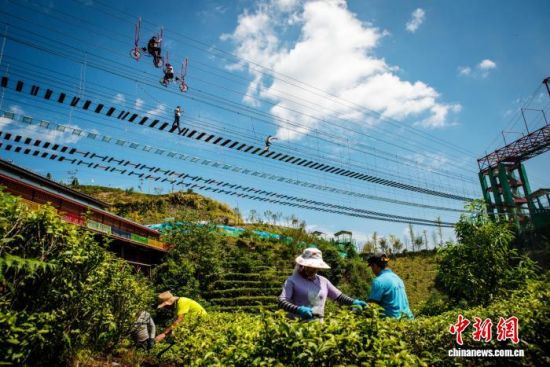 20251120գοʹռɽĲ԰Ͽա־ 