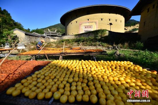 图为11月22日,衍香楼前村民晾晒的柿饼与土楼相映成趣。2008年,福建永定客家土楼群落中的初溪土楼群、洪坑土楼群、高北土楼群、振福楼、衍香楼等被列入《世界文化遗产名录》。中新社记者 张斌 摄 图为11月22日,衍香楼前村民晾晒的柿饼与土楼相映成趣。2008年,福建永定客家土楼群落中的初溪土楼群、洪坑土楼群、高北土楼群、振福楼、衍香楼等被列入《世界文化遗产名录》。中新社记者 张斌 摄