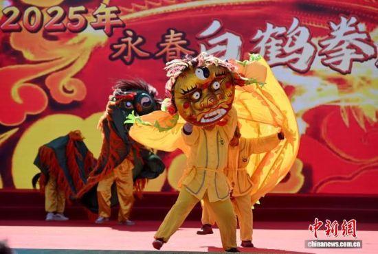 11月24日,2025年永春白鹤拳传承发展大会在福建永春举办。图为永春青狮表演。中新社记者 吕明 摄 11月24日,2025年永春白鹤拳传承发展大会在福建永春举办。图为永春青狮表演。中新社记者 吕明 摄
