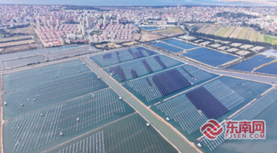 2.7ÍòÓà¸ù¹Ü×®ÒÑÕûÆë´£Á¢Ôڱ̲¨Ö®ÉÏ£¬Èçͬ¼áʵµÄ¡°Ê÷¸É¡±³ÅÆð¼´½«³ÉÐ͵ġ°Â̵çÉÁÖ¡±¡£ 2.7ÍòÓà¸ù¹Ü×®ÒÑÕûÆë´£Á¢Ôڱ̲¨Ö®ÉÏ£¬Èçͬ¼áʵµÄ¡°Ê÷¸É¡±³ÅÆð¼´½«³ÉÐ͵ġ°Â̵çÉÁÖ¡±¡£