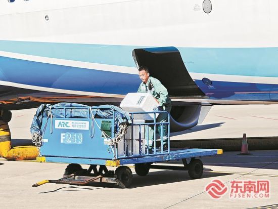 ¹¤×÷ÈËÔ±ÕýÔÚ°áÔËÁñÁ«¡£ ¹¤×÷ÈËÔ±ÕýÔÚ°áÔËÁñÁ«¡£