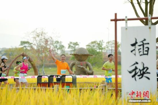 ͼΪÅÜÕß¾¹ýµ¾Ìﻨº£µÈÌØÉ«¾°¹Û¡£ÈüÊÂ×éί»á ¹©Í¼ ͼΪÅÜÕß¾¹ýµ¾Ìﻨº£µÈÌØÉ«¾°¹Û¡£ÈüÊÂ×éί»á ¹©Í¼