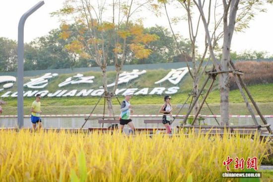 ͼΪÅÜÕß¾¹ýµ¾Ìﻨº£µÈÌØÉ«¾°¹Û¡£ÈüÊÂ×éί»á ¹©Í¼ ͼΪÅÜÕß¾¹ýµ¾Ìﻨº£µÈÌØÉ«¾°¹Û¡£ÈüÊÂ×éί»á ¹©Í¼