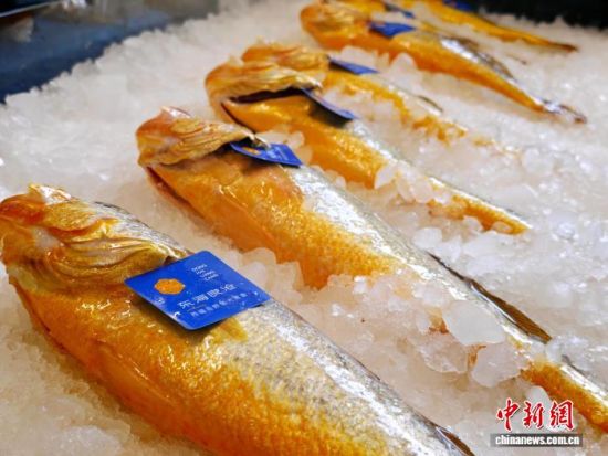 图为“线下大黄鱼销售促消费活动”中,商户展示的冰鲜大黄鱼。吴允杰 摄 图为“线下大黄鱼销售促消费活动”中,商户展示的冰鲜大黄鱼。吴允杰 摄