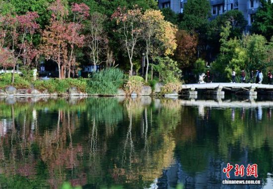 12月5日,福建福州黎明湖公园五彩斑斓,构成浓墨重彩的初冬画卷,美不胜收,成为市民和游客休闲的好去处。中新社记者 张斌 摄 12月5日,福建福州黎明湖公园五彩斑斓,构成浓墨重彩的初冬画卷,美不胜收,成为市民和游客休闲的好去处。中新社记者 张斌 摄