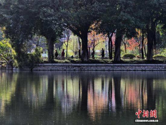 12月5日,福建福州黎明湖公园五彩斑斓,构成浓墨重彩的初冬画卷,美不胜收,成为市民和游客休闲的好去处。中新社记者 张斌 摄 12月5日,福建福州黎明湖公园五彩斑斓,构成浓墨重彩的初冬画卷,美不胜收,成为市民和游客休闲的好去处。中新社记者 张斌 摄