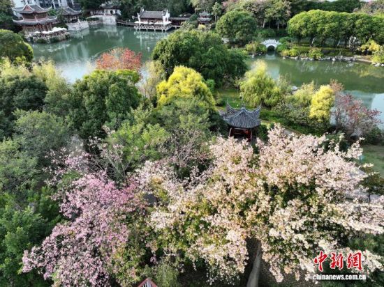 12月5日,福建福州黎明湖公园五彩斑斓,构成浓墨重彩的初冬画卷,美不胜收,成为市民和游客休闲的好去处。(无人机照片)中新社记者 张斌 摄 12月5日,福建福州黎明湖公园五彩斑斓,构成浓墨重彩的初冬画卷,美不胜收,成为市民和游客休闲的好去处。(无人机照片)中新社记者 张斌 摄