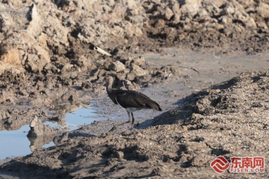 ¹ú¼ÒÁֲݾֻª¶«Ôº¹¤³Ìʦ֣Ñ峬ÅÄϺÚðÙÉíÓ° ¹ú¼ÒÁֲݾֻª¶«Ôº¹¤³Ìʦ֣Ñ峬ÅÄϺÚðÙÉíÓ°