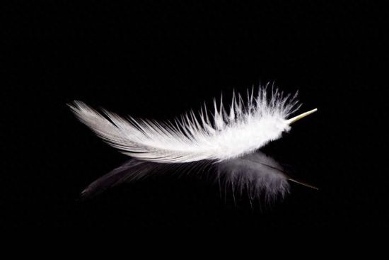 图/视觉中国 图/视觉中国