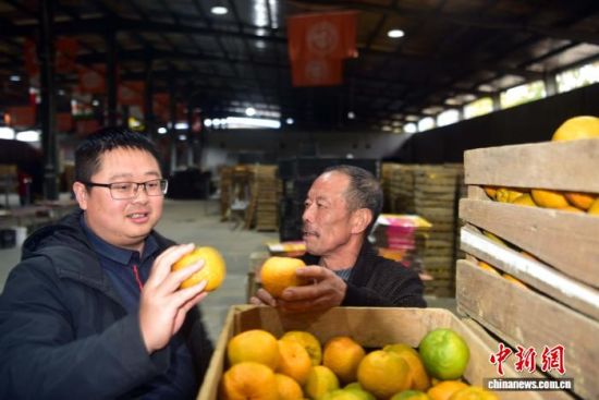 ͼΪ²é¿´¸ÌéÙ¡£ÖÐÐÂÍø¼ÇÕß ÕÅÀö¾ý Éã ͼΪ²é¿´¸ÌéÙ¡£ÖÐÐÂÍø¼ÇÕß ÕÅÀö¾ý Éã