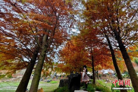 12ÔÂ9ÈÕ£¬ÓοÍÔھŷå´åÓÎÍæ¡£ÖÐÐÂÉç¼ÇÕß Íõ¶«Ã÷ Éã 12ÔÂ9ÈÕ£¬ÓοÍÔھŷå´åÓÎÍæ¡£ÖÐÐÂÉç¼ÇÕß Íõ¶«Ã÷ Éã