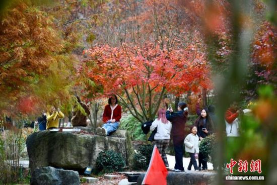 12ÔÂ9ÈÕ£¬ÓοÍÔھŷå´åÓÎÍæ¡£ÖÐÐÂÉç¼ÇÕß Íõ¶«Ã÷ Éã 12ÔÂ9ÈÕ£¬ÓοÍÔھŷå´åÓÎÍæ¡£ÖÐÐÂÉç¼ÇÕß Íõ¶«Ã÷ Éã