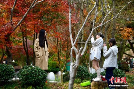 12ÔÂ9ÈÕ£¬ÓοÍÔھŷå´åÅÄÕÕÁôÓ°¡£ÖÐÐÂÉç¼ÇÕß Íõ¶«Ã÷ Éã 12ÔÂ9ÈÕ£¬ÓοÍÔھŷå´åÅÄÕÕÁôÓ°¡£ÖÐÐÂÉç¼ÇÕß Íõ¶«Ã÷ Éã