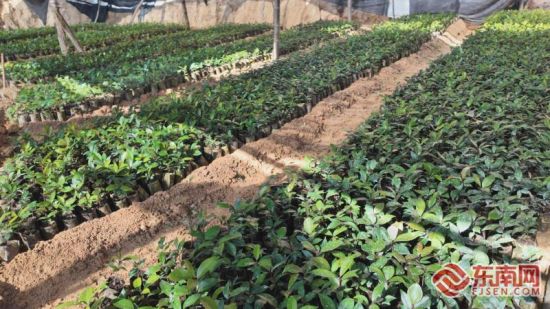 »ùµØÀïéªÄ¾Ó×ÃçÕý×Â׳³É³¤¡£ÊÜ·ÃÕß ¹©Í¼ »ùµØÀïéªÄ¾Ó×ÃçÕý×Â׳³É³¤¡£ÊÜ·ÃÕß ¹©Í¼