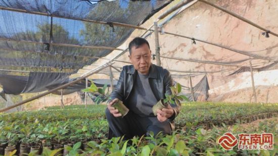 Íõ׿¸É¸©Éí²é¿´éªÄ¾Ó×ÃçÉú³¤Çé¿ö¡£ÊÜ·ÃÕß ¹©Í¼ Íõ׿¸É¸©Éí²é¿´éªÄ¾Ó×ÃçÉú³¤Çé¿ö¡£ÊÜ·ÃÕß ¹©Í¼