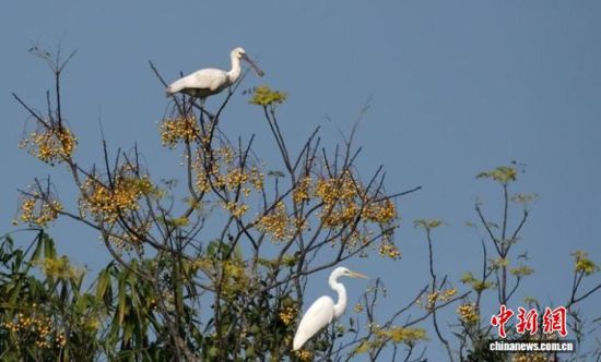 ͼΪ°×Åýðغʹó°×ðØ¡£ÁνðÅó Éã ͼΪ°×Åýðغʹó°×ðØ¡£ÁνðÅó Éã