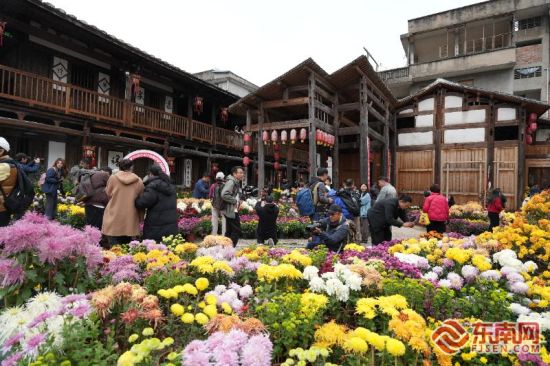 ´´×÷ÕßÃÇÔÚÐ廨¥ÅÄÉã´´×÷¡£¶«ÄÏÍø¼ÇÕß ÅËÔÂÈÝ Éã ´´×÷ÕßÃÇÔÚÐ廨¥ÅÄÉã´´×÷¡£¶«ÄÏÍø¼ÇÕß ÅËÔÂÈÝ Éã