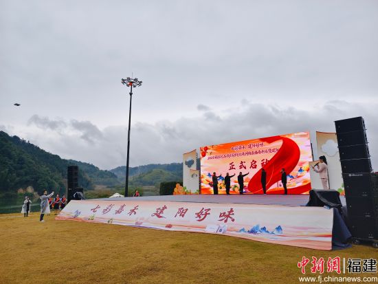 活动现场。中新网记者 张丽君 摄 活动现场。中新网记者 张丽君 摄