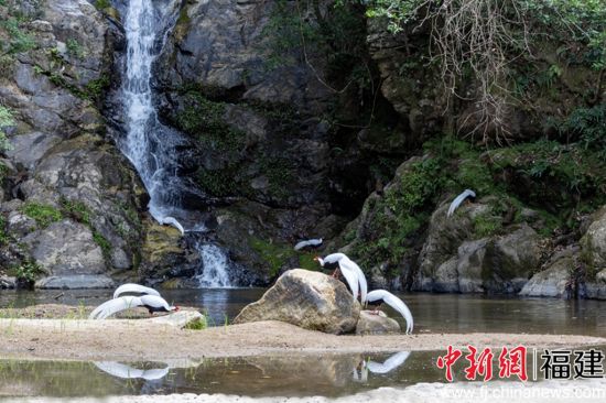 è÷¿Ú·»°×ð¹ȡ£½ÔÂÀ¼Éã è÷¿Ú·»°×ð¹ȡ£½ÔÂÀ¼Éã