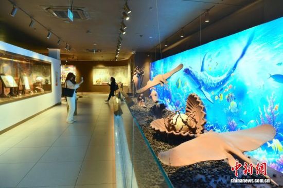 12月11日,游客在参观用巧克力雕塑的海洋生物模型。中新社记者 张斌 摄 12月11日,游客在参观用巧克力雕塑的海洋生物模型。中新社记者 张斌 摄