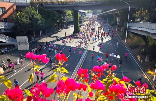 图为参赛选手在比赛中。中新社记者 吕明 摄 图为参赛选手在比赛中。中新社记者 吕明 摄