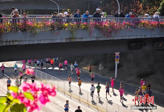 图为参赛选手在比赛中。中新社记者 吕明 摄 图为参赛选手在比赛中。中新社记者 吕明 摄