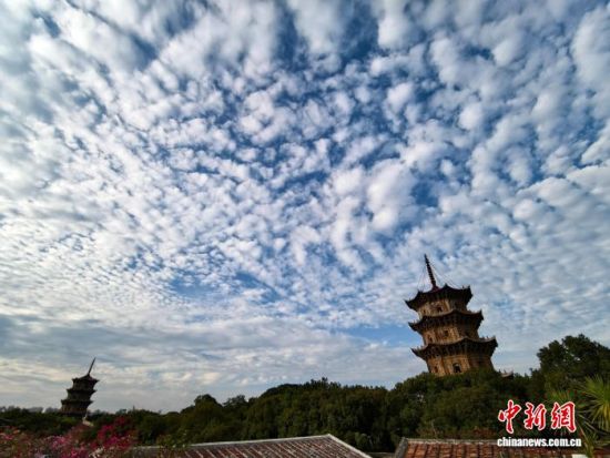 ͼΪ12��14�գ�Ȫ�ݿ�Ԫ���ڵĶ�����(��Ϊ����)����������� �ű� ��