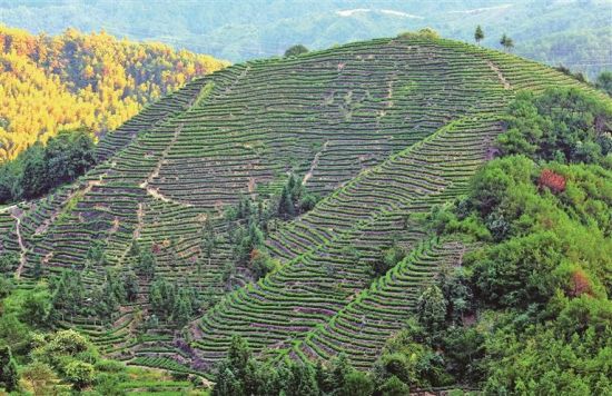 ������ɽ��԰�������� ��